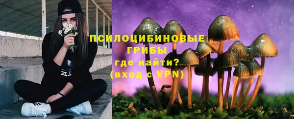 спиды Абаза
