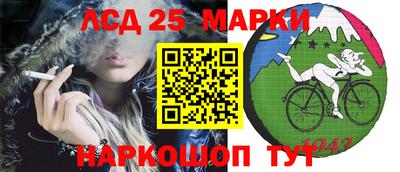 гидропоника Чебоксары