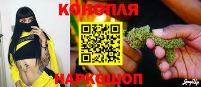 прущие грибы Чебаркуль
