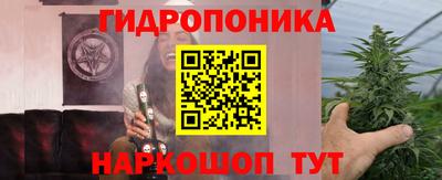 прущие грибы Чебаркуль
