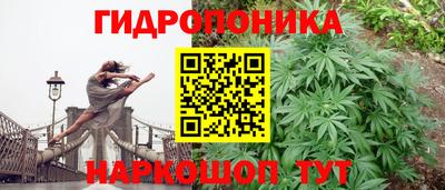 гидропоника Чебоксары