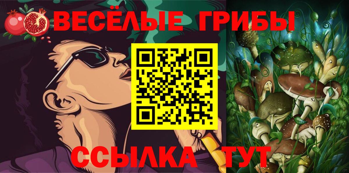 Одинцово  Галлюциногенные грибы мухоморы  Вход с VPN 