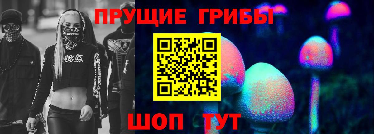 Псилоцибиновые грибы Psilocybine cubensis Одинцово